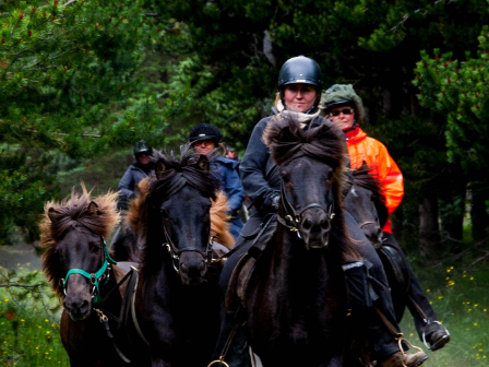 Iceland Horse Riding Tour 